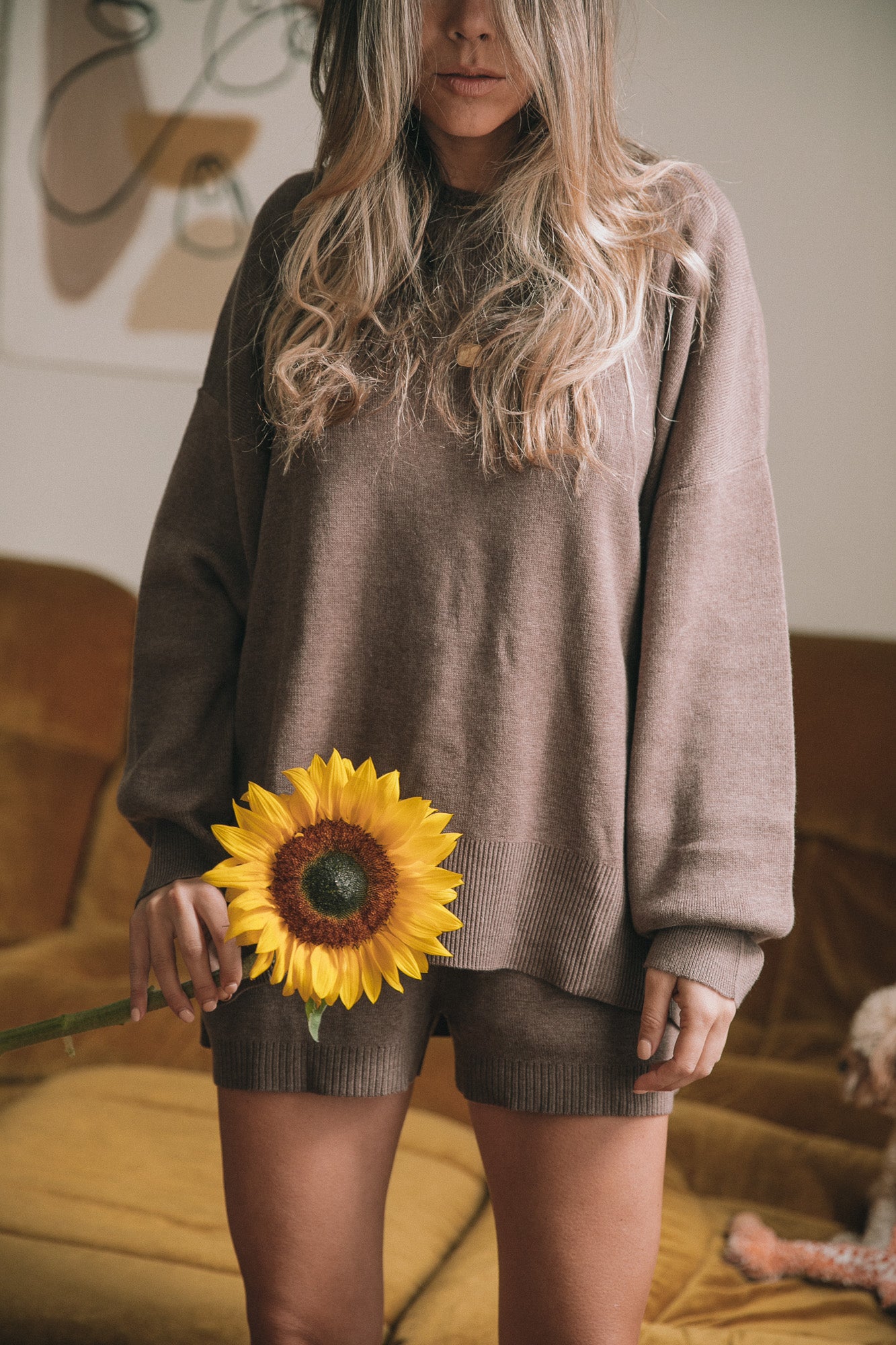 Luna Knit Sweater - Brown